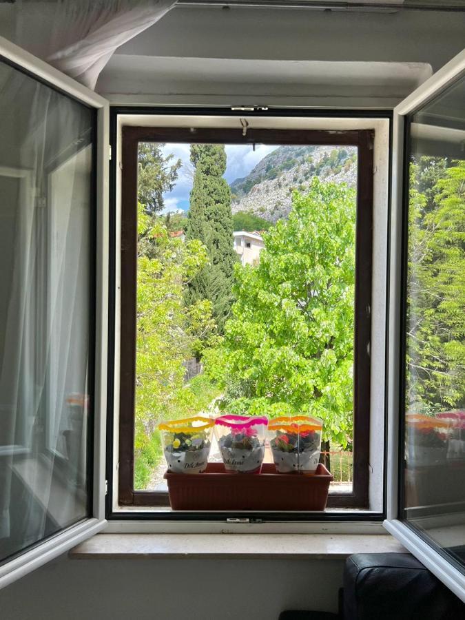 Apartment Kiki كوتور المظهر الخارجي الصورة